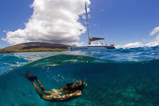 coral-gardens-snorkel-whale-watch
