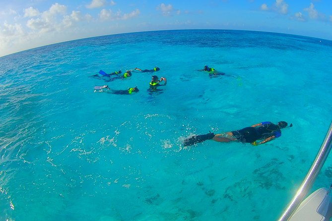 coral-reef-private-snorkel-tour-out-to-john-pennekamp-coral-reef-state-park