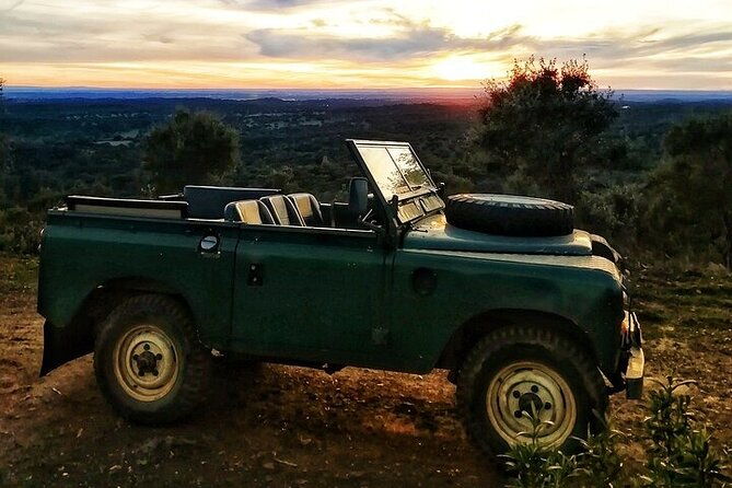 cork-safari-in-a-classic-land-rover-with-optional-lunch