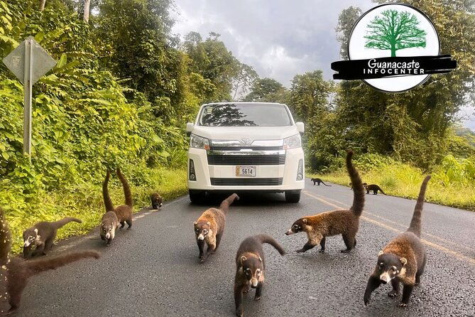 costa-rica-private-airport-transfer