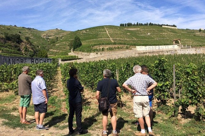 cotes-du-rhone-wine-tour-private-tour-full-day-from-lyon-2