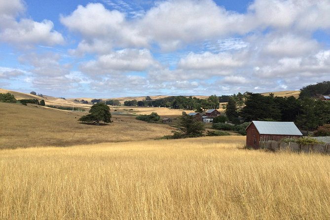 cow-heaven-a-self-guided-driving-tour-from-point-reyes-seashore-to-tomales