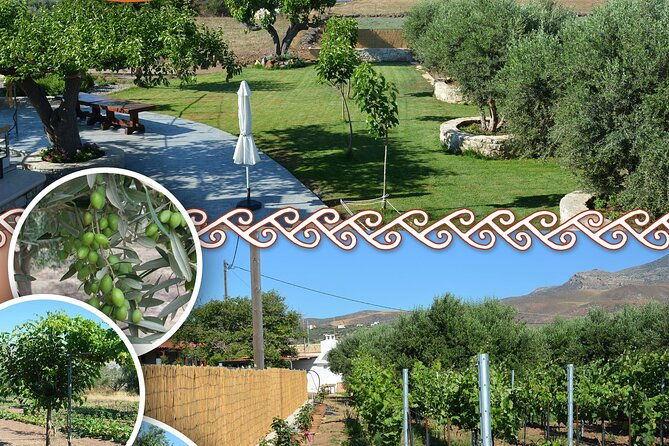 cretan-traditional-cooking-lessons-2