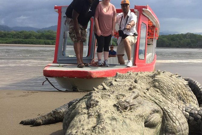 crocodile-man-tour-the-original