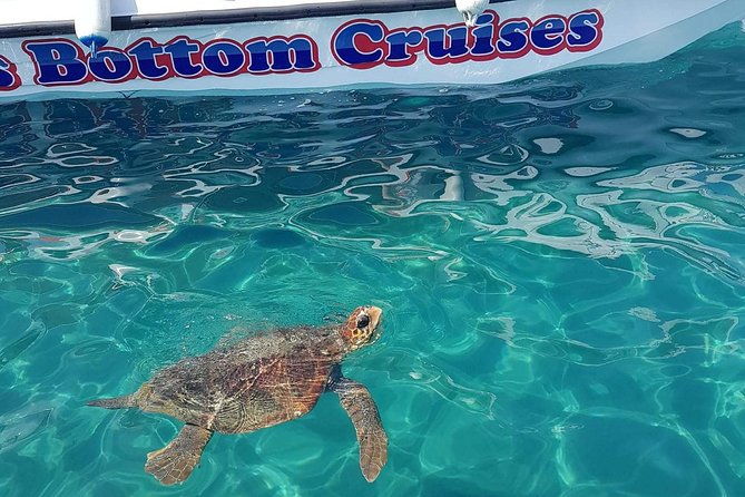 cruise-to-turtles-island-and-caves-with-a-glass-bottom-boat