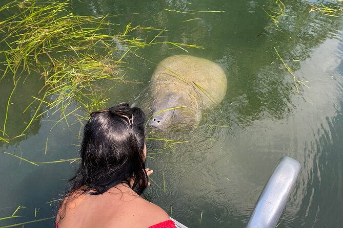 crystal-river-private-manatee-boat-tour