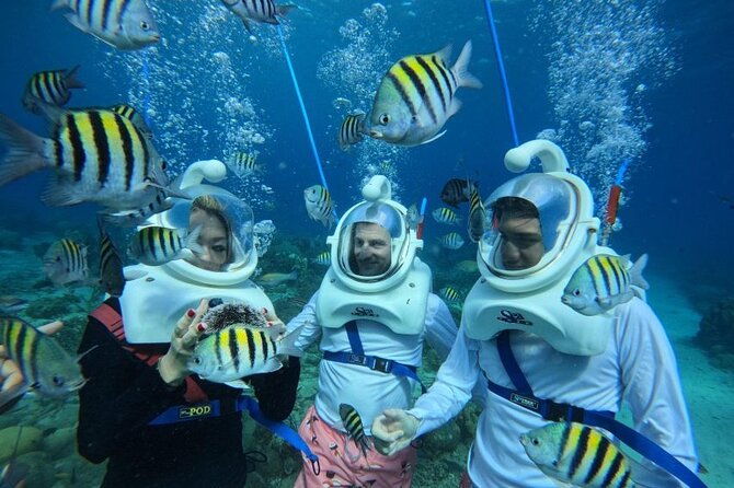 curacao-guided-underwater-walking-tour-no-swimming-skills-needed