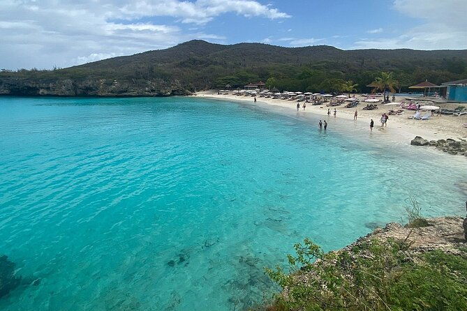 curacao-sea-turtle-swim-and-west-side-natural-highlights