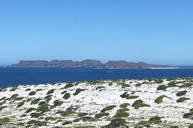 dama-island-or-chanaral-navigation-tour-humboldt-penguin-reserve