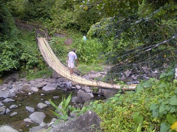 dark-view-falls-tour-with-trubb-taxi-tours-svg