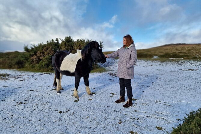 dartmoor-tour-2