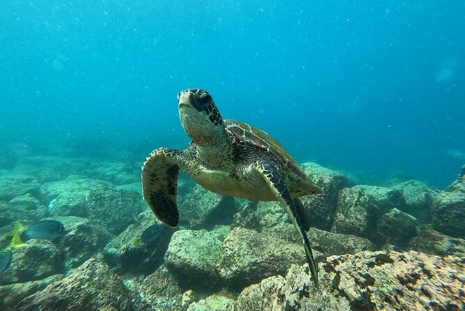 day-tour-to-floreana-island-with-snorkeling-and-fishing