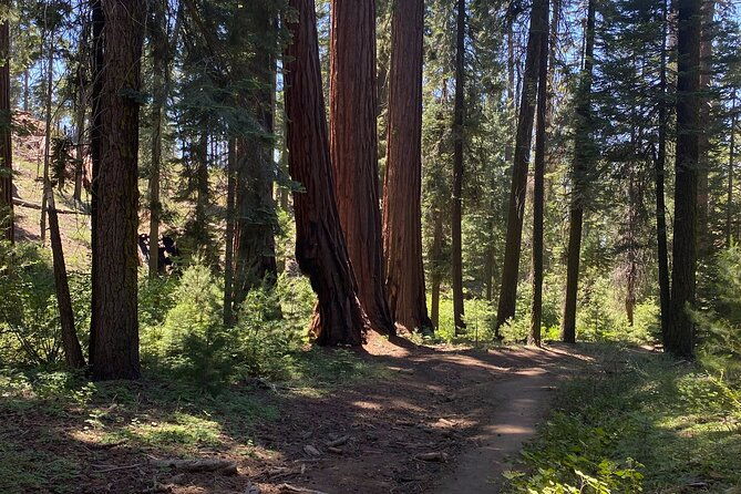 day-tour-to-kings-canyon-national-park
