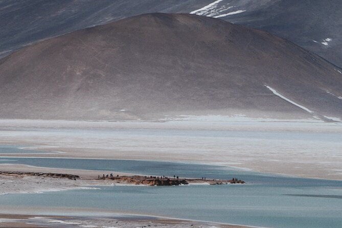 day-tour-to-piedras-rojas-and-altiplanic-and-chaxa-lagoons