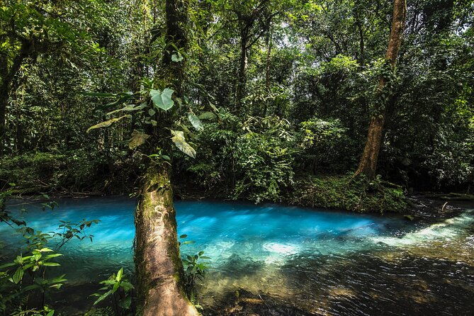 day-trip-to-rio-celeste-from-san-jose