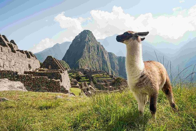 day-trip-tour-to-machu-picchu-from-cusco