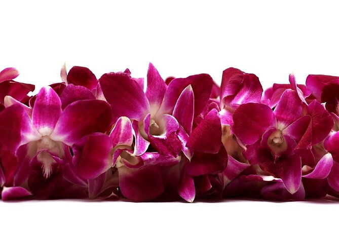 deluxe-orchid-lei-greeting-maui-kahului-airport-ogg