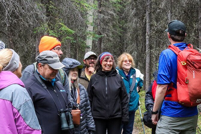 denali-nature-hike