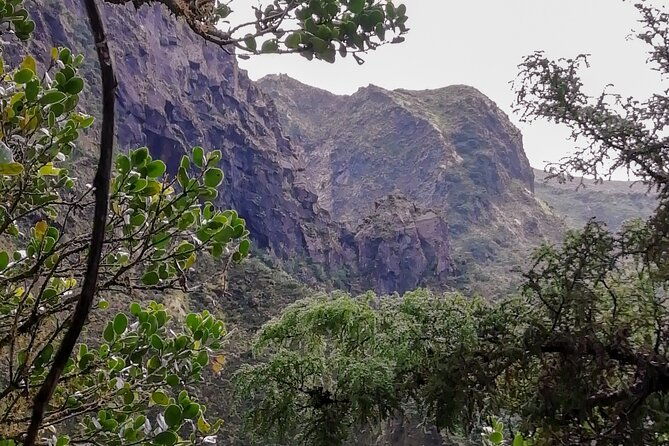 descent-to-caldeira-do-faial-the-perfect-adventure