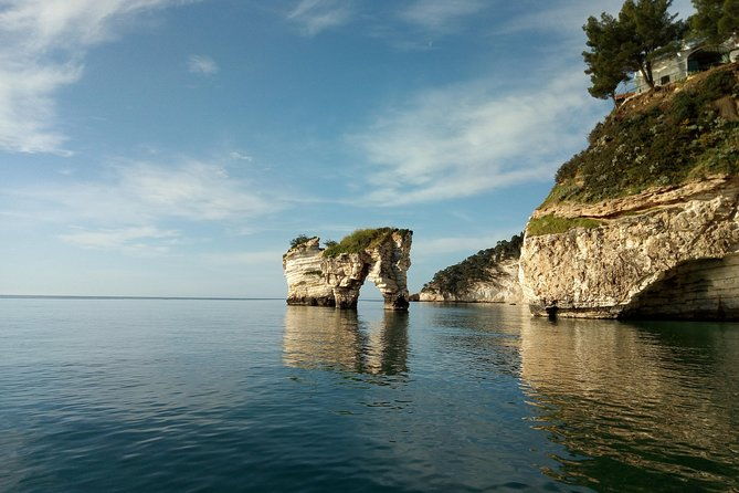 desiree-private-boat-tour-with-skipper-2