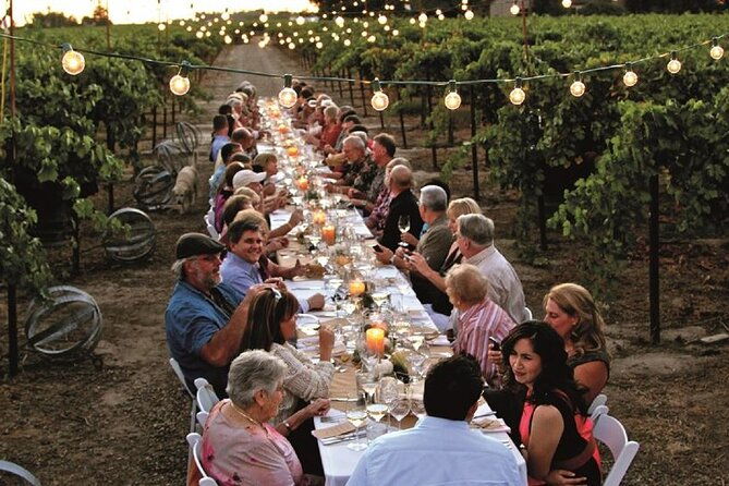 dinner-in-the-vineyards-2