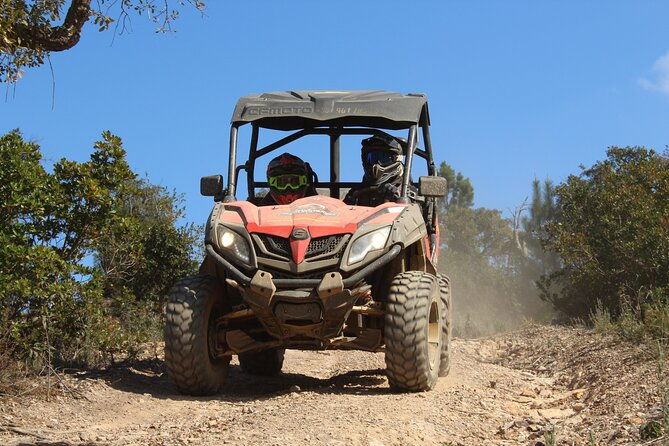 dirt-dust-buggy-tour