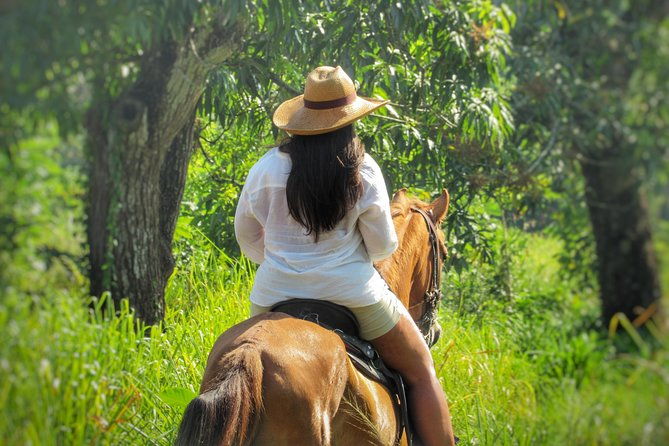 discover-a-nature-reserve-on-horseback