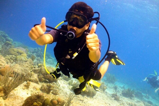 discover-diving-in-curacao-with-transportation-included