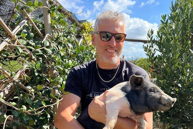 discover-montepulciano-cinta-senese-pigs-lunch-wine-in-a-farm