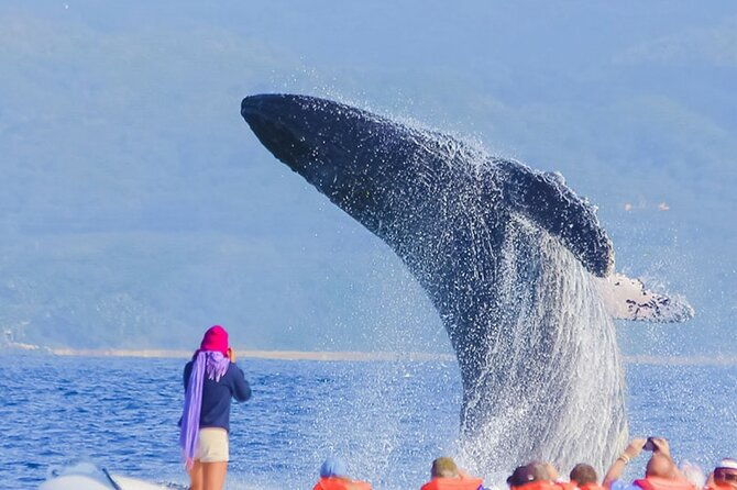 discover-samana-bacardi-island-the-limon-waterfall-and-the-whales