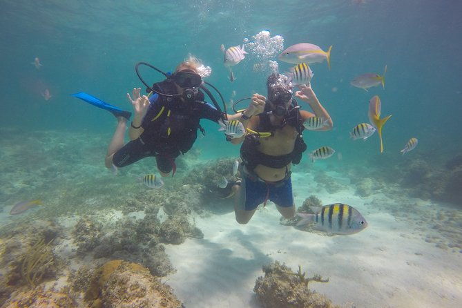 discover-scuba-diving-dsd