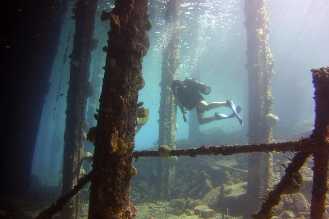 discover-scuba-diving-in-curacao