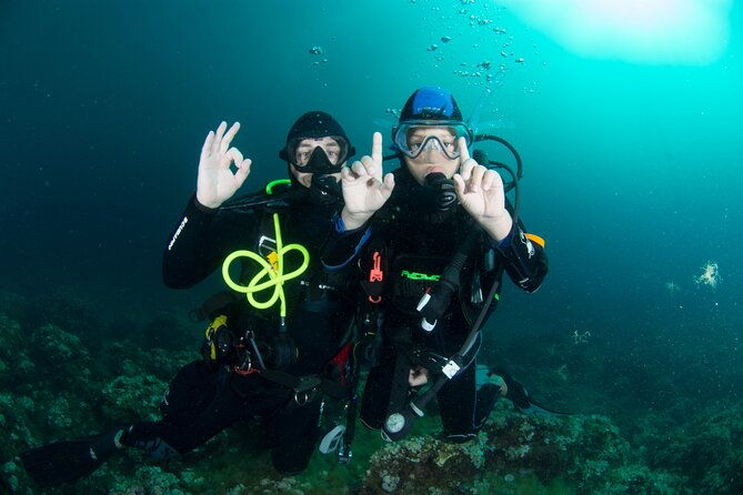 discover-scuba-diving-padi-trial-dive-in-sorrento