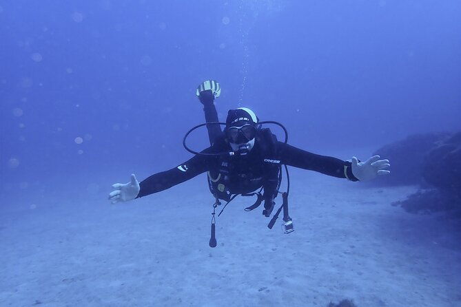 discover-scuba-diving-tenerife-photos-and-videos-included
