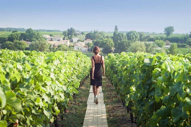 discover-the-cellars-in-the-heart-of-the-countryside-in-champagne