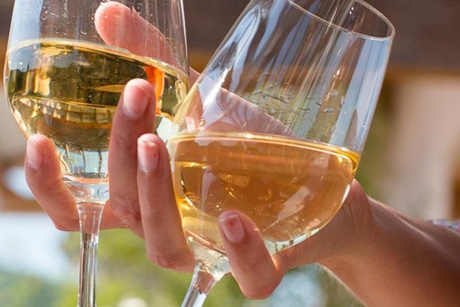 discovery-and-tasting-of-biodynamic-wine-in-alsace-2