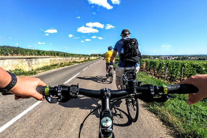 discovery-by-bike-tasting-in-the-vineyards