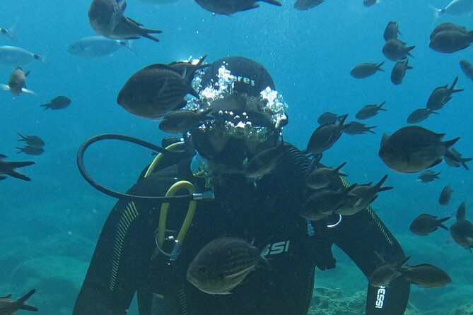 dive-the-rock-scuba-diving-experience-in-protaras