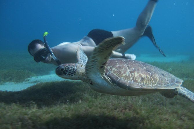 diving-and-or-snorkeling-day-from-a-catamaran
