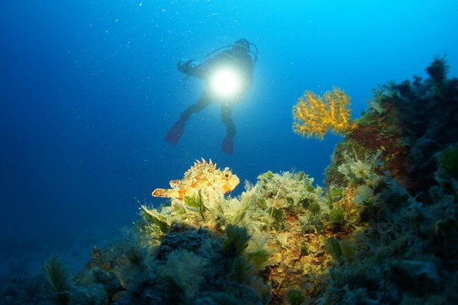 diving-day-tour-with-2-dives-2