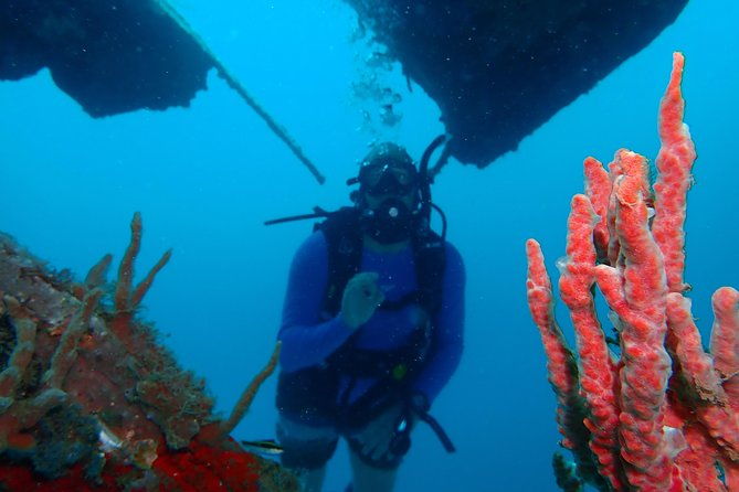diving-trip-for-certified-divers