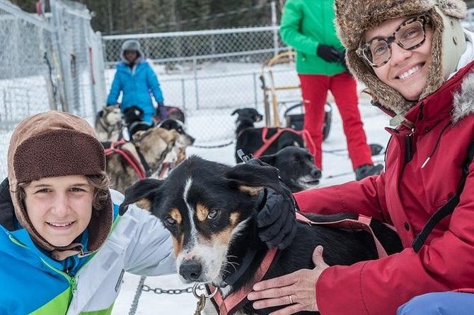 dog-sledding-subarctic-wilderness-tour