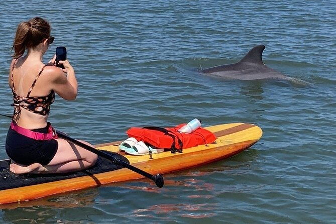 dolphin-and-manatee-adventure-tour-of-osprey-with-florida-history-2