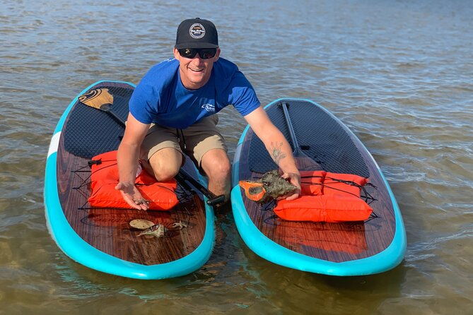 dolphin-and-manatee-tour-of-marco-island-by-kayak-or-sup
