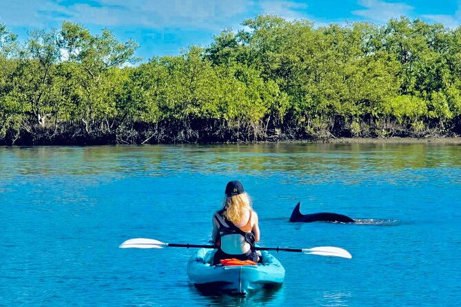 dolphin-manatee-and-sea-turtle-kayak-adventure