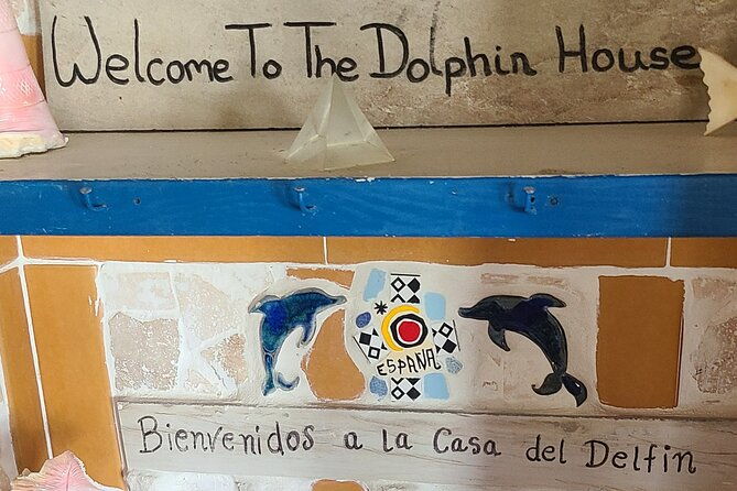 dolphin-museum-and-wild-dolphins-land-and-sea-adventure