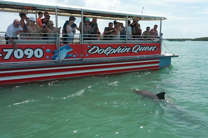 dolphin-quest-sightseeing-eco-cruise-johns-pass-madeira-beach-fl