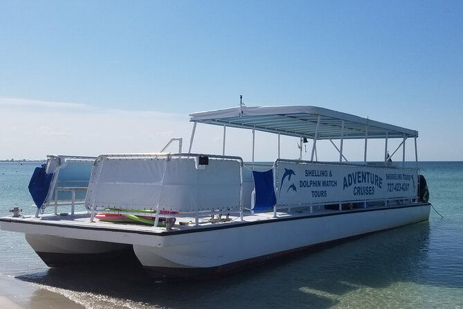 dolphin-shelling-snorkeling-tours-private-charters-2