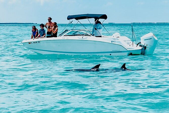 dolphin-snorkel-sandbar