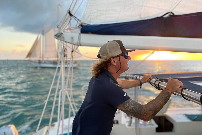 dolphin-watch-sunset-sail-with-honest-eco
